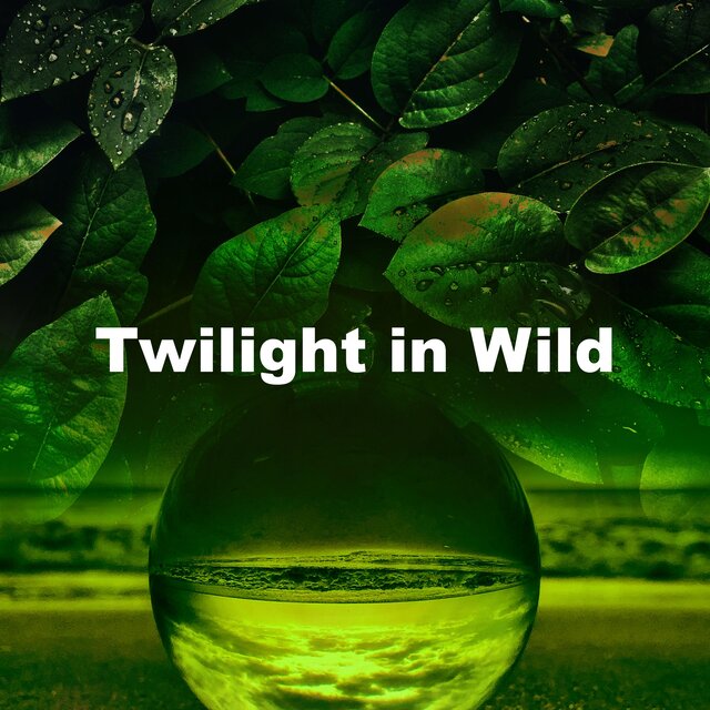 Twilight in Wild