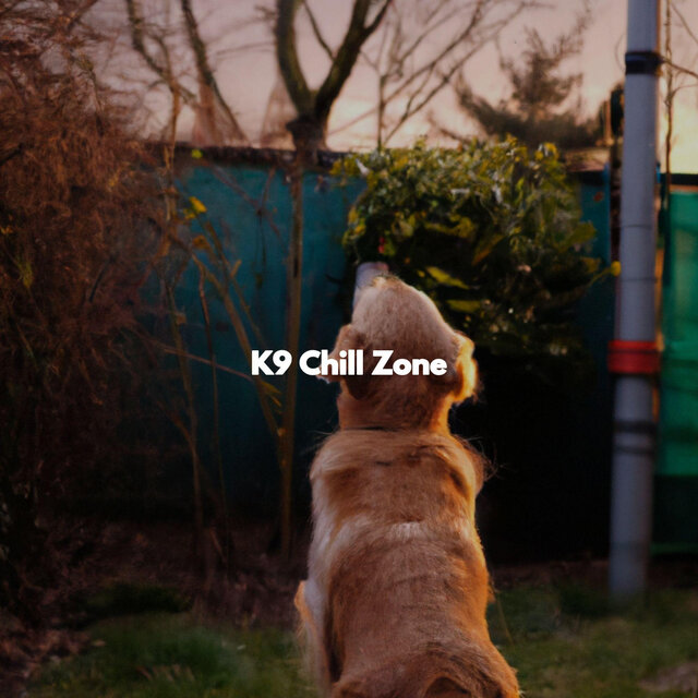 K9 Chill Zone