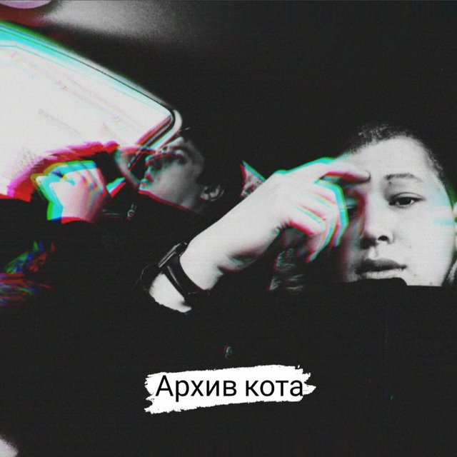 Архив кота