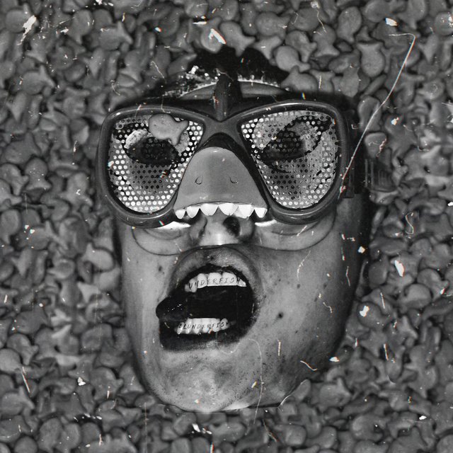 Blunderfish