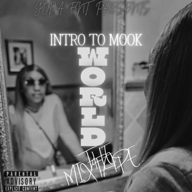 INTRO TO MOOK WORLD