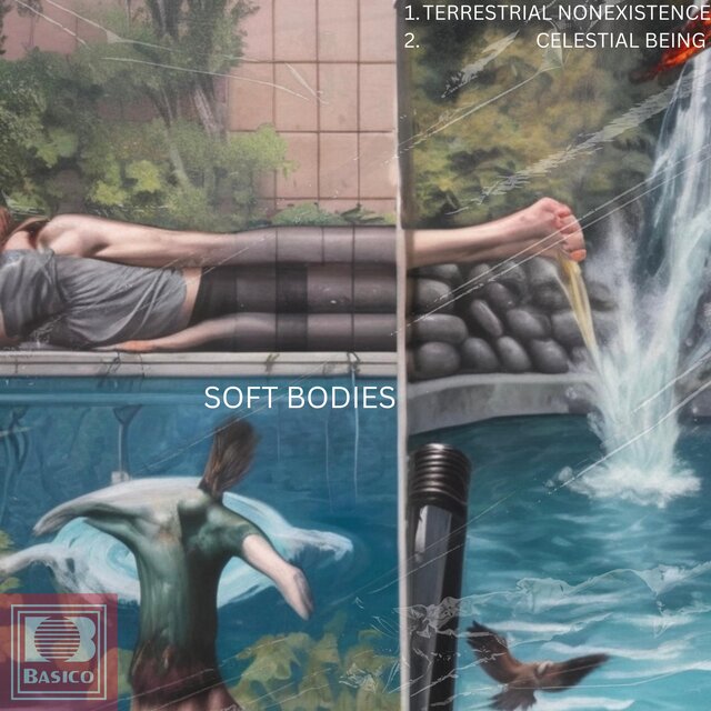 SOFT BODIES
