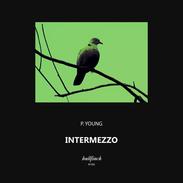 Intermezzo
