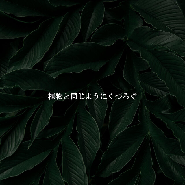植物と同じようにくつろぐ