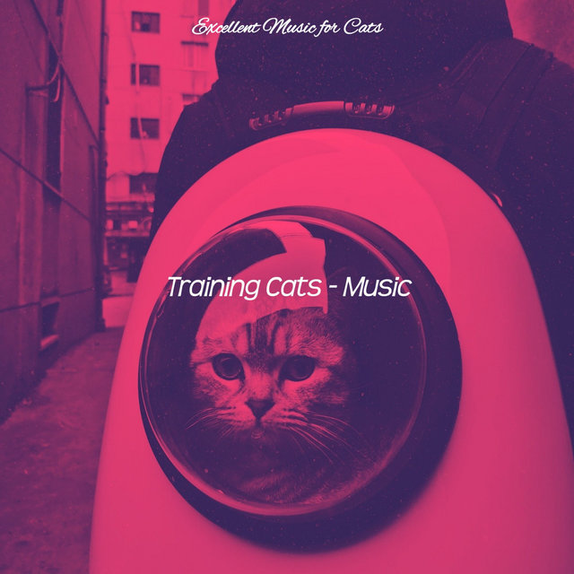 Training Cats - Music