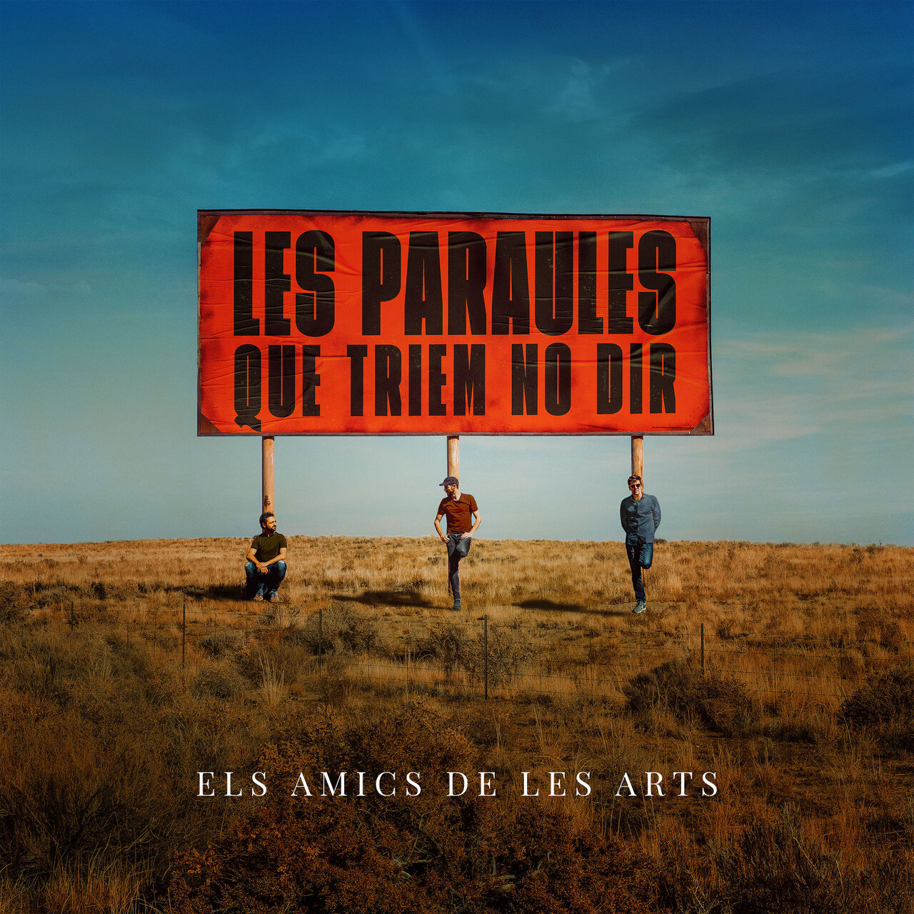 Els Amics de les Arts Les paraules que triem no dir cover artwork