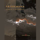 Cover art for album Echoes Of A Shattered Sky by Friedemann