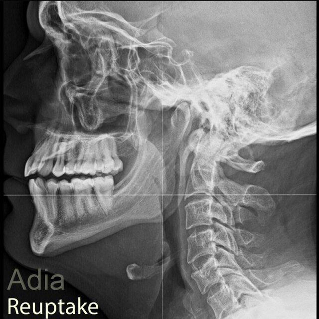 Reuptake