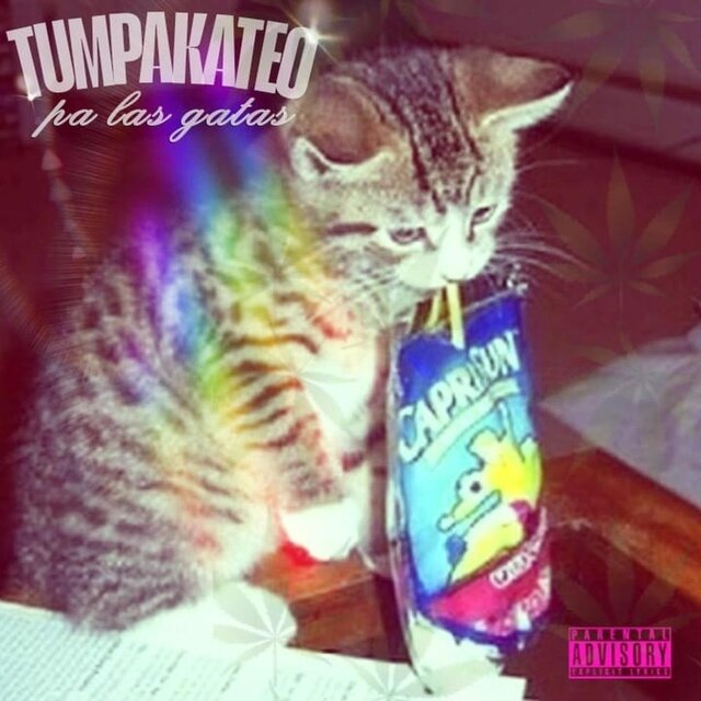 Tumpakateo Pa Las Gatas