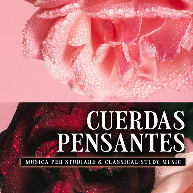 Cuerdas Pensantes