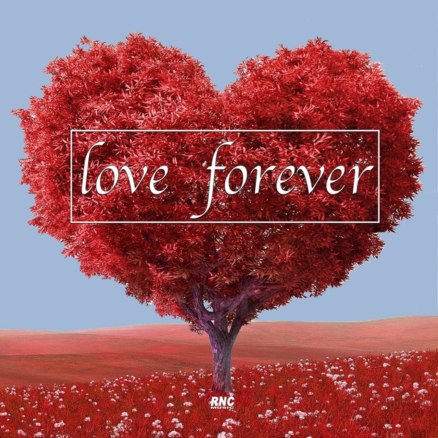Love Forever