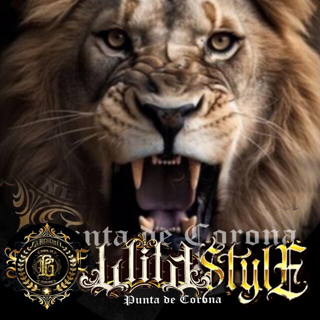 Wildstyle**