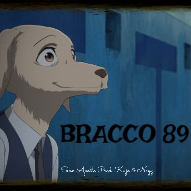 Bracco 89