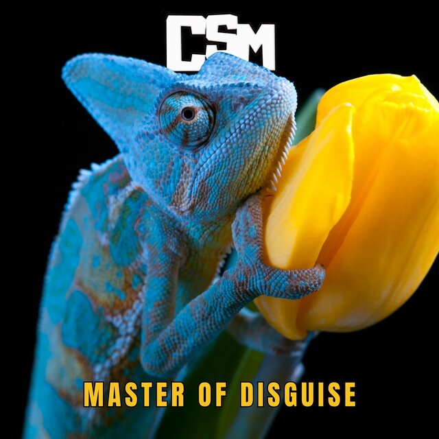 Master of Disguise