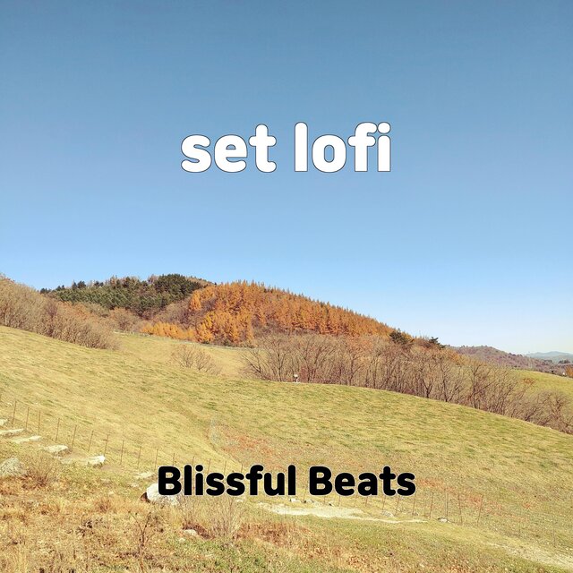 set lofi