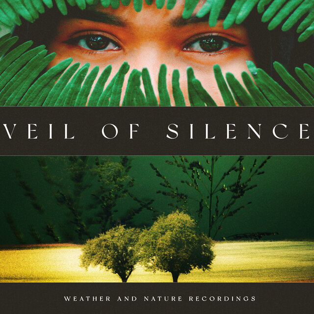 Veil of Silence