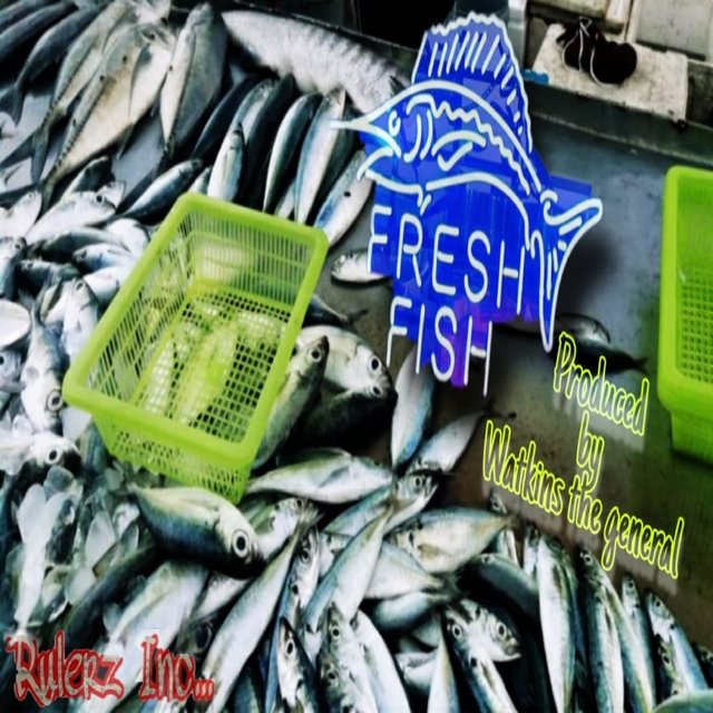 Fresh Fish