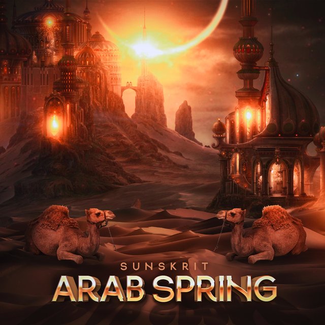  Arab Spring 