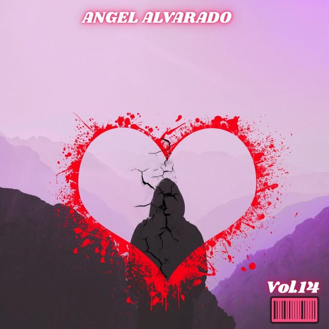 CANCIONES A MI ESTILO, Vol. 14