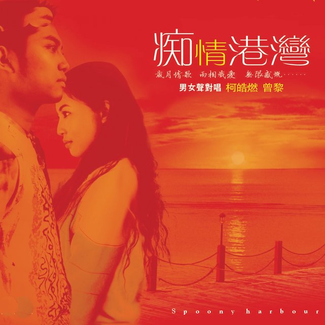 痴情港湾 (翻唱)