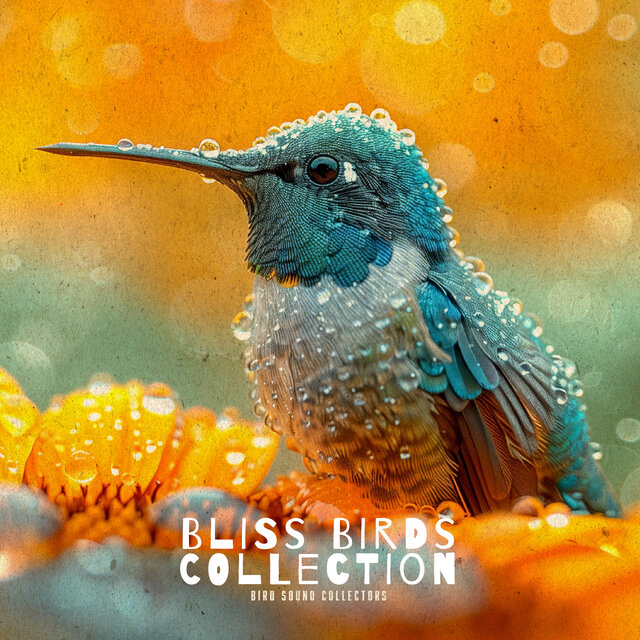 Bliss Birds Collection