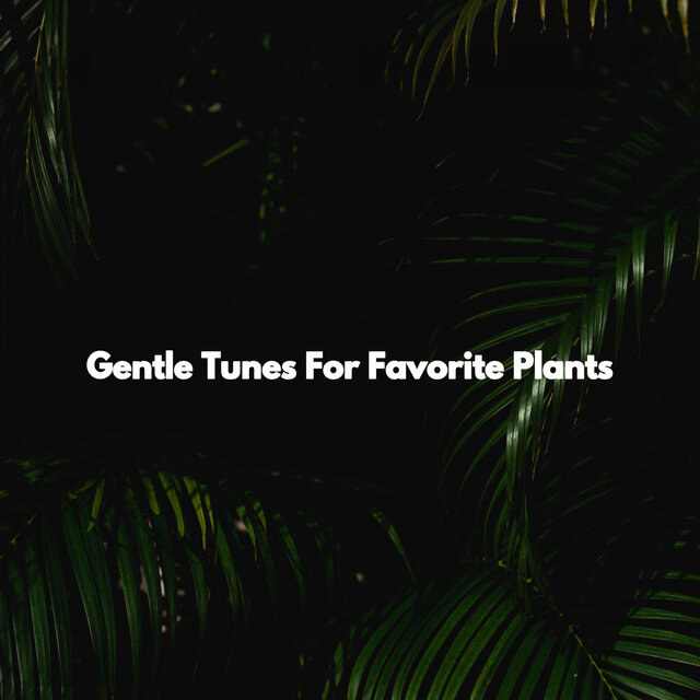 Gentle Tunes For Favorite Plants