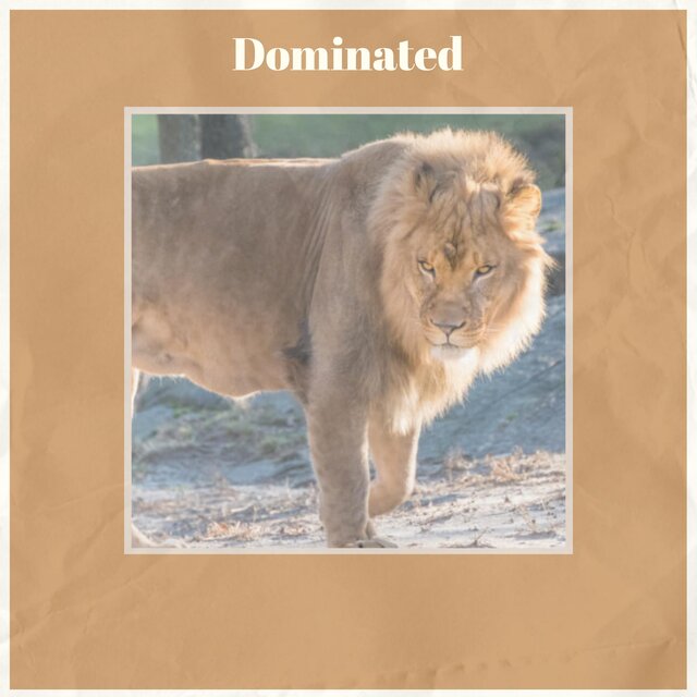 Dominated