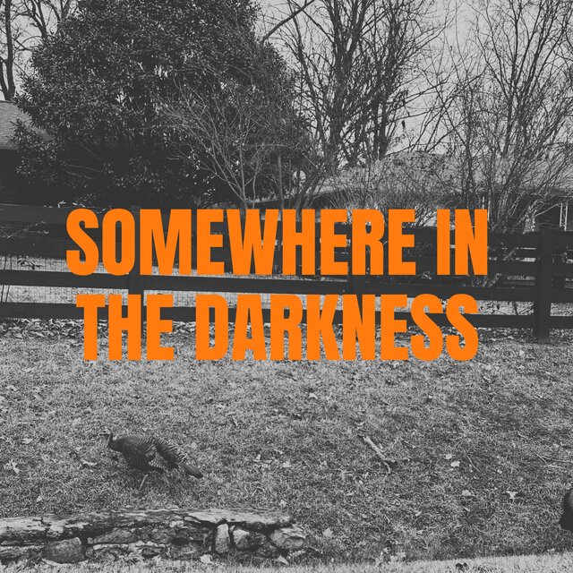 Somewhere in the Darkness