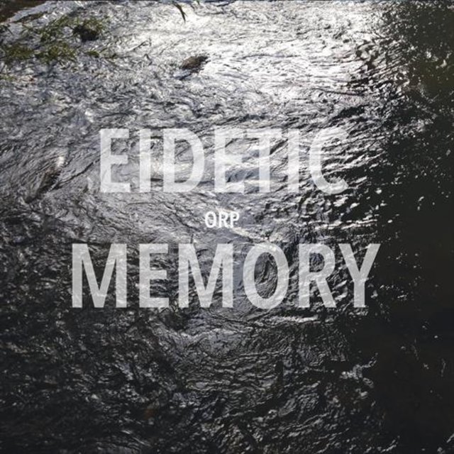 Eidetic Memory