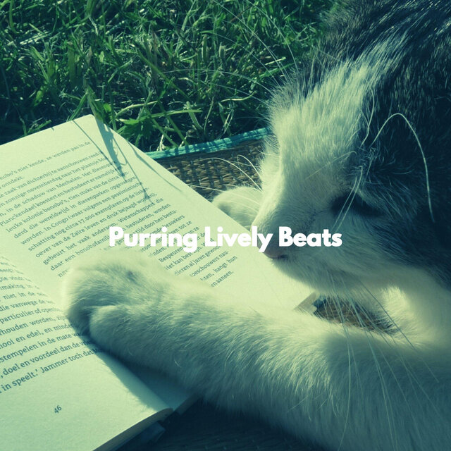 Purring Lively Beats