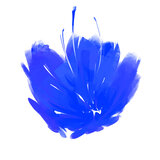 Disc1 - 못 다 핀 꽃