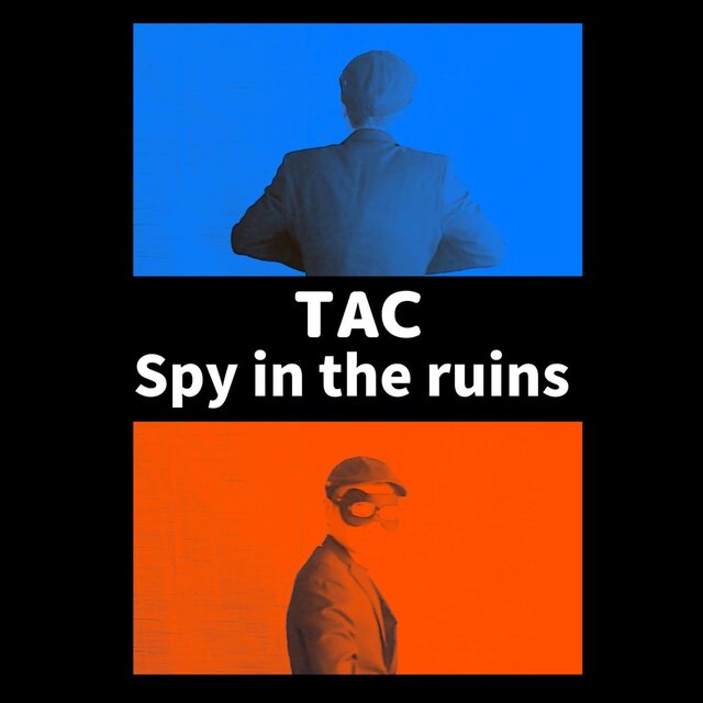 Spy in the ruins