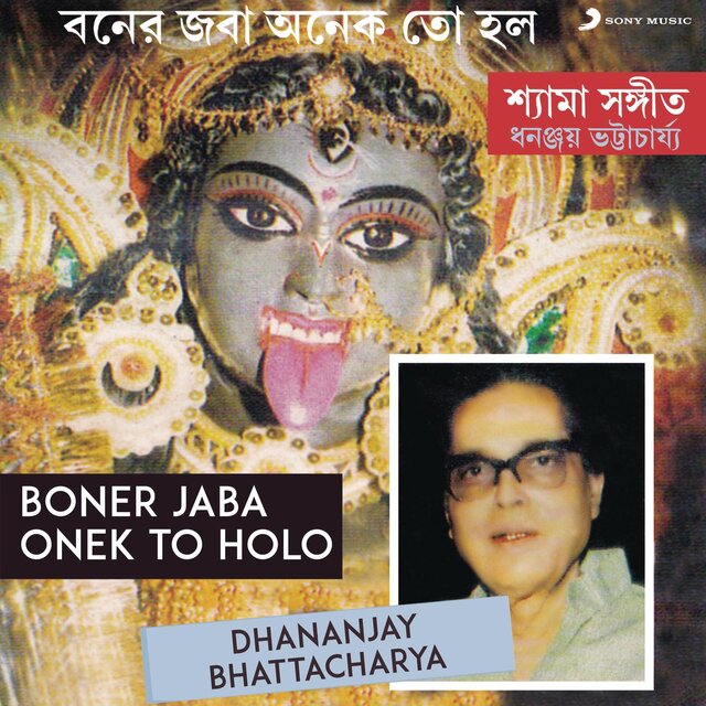Boner Jaba Onek To Holo