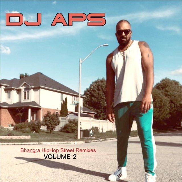Bhangra Hiphop Street Remixes, Vol. 2