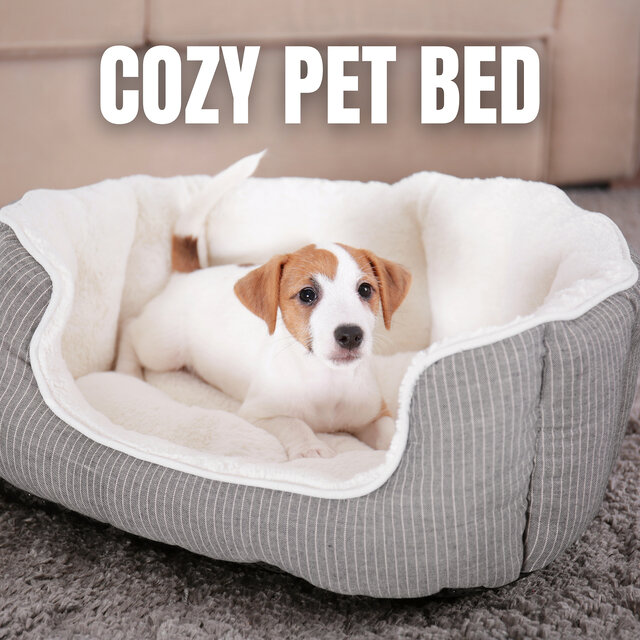 Cozy Pet Bed