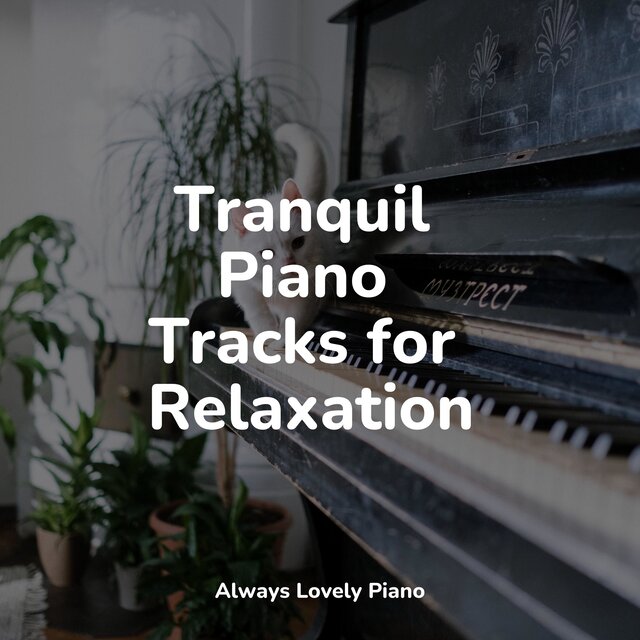 Deep Focus Collection - 50 Paradise Piano Tracks