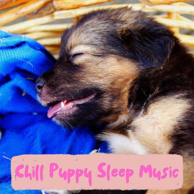 Classical Piano Beats For Puppy Sleeping