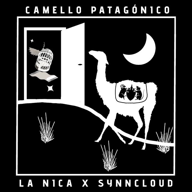 Camello Patagónico