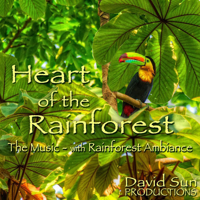 Heart of the Rainforest