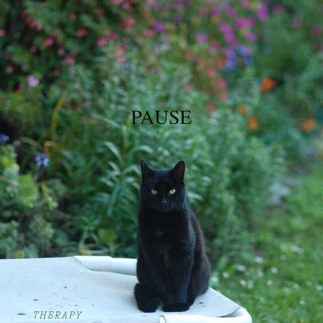 Pause