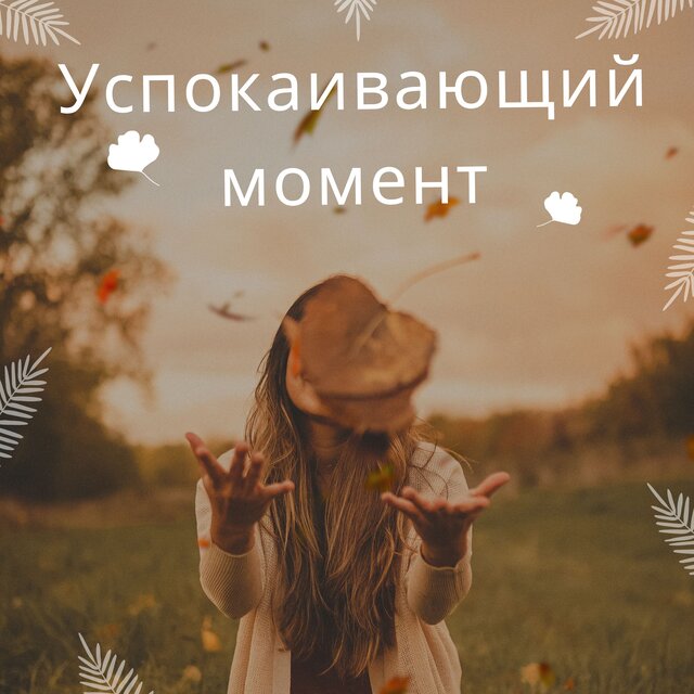 Успокаивающий момент