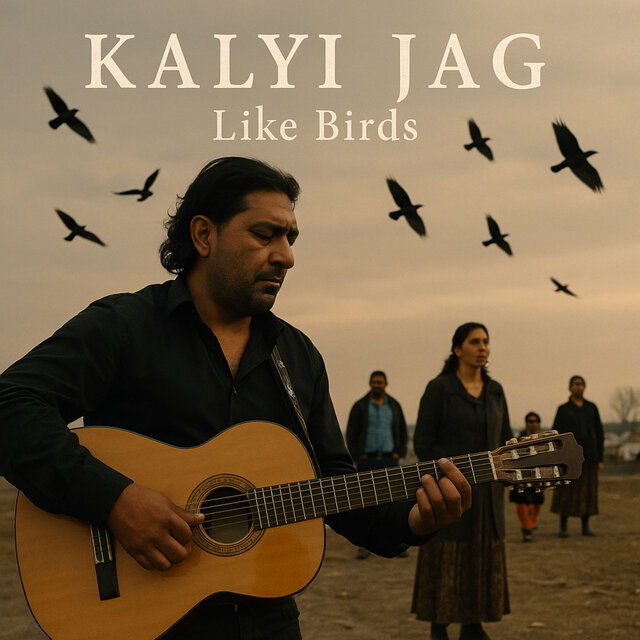 Like Birds
