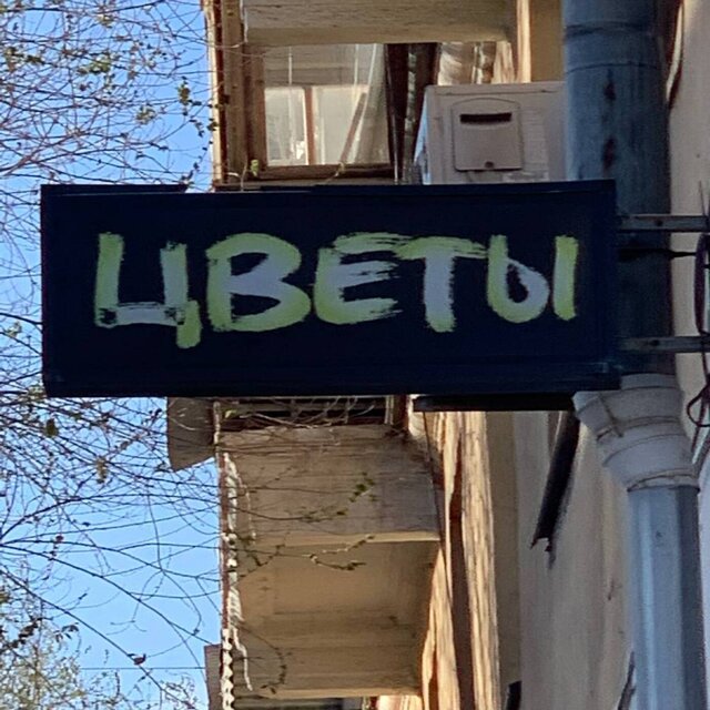 Цветы