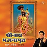 Jai Shree Krishna Hari Hari (Album Version)