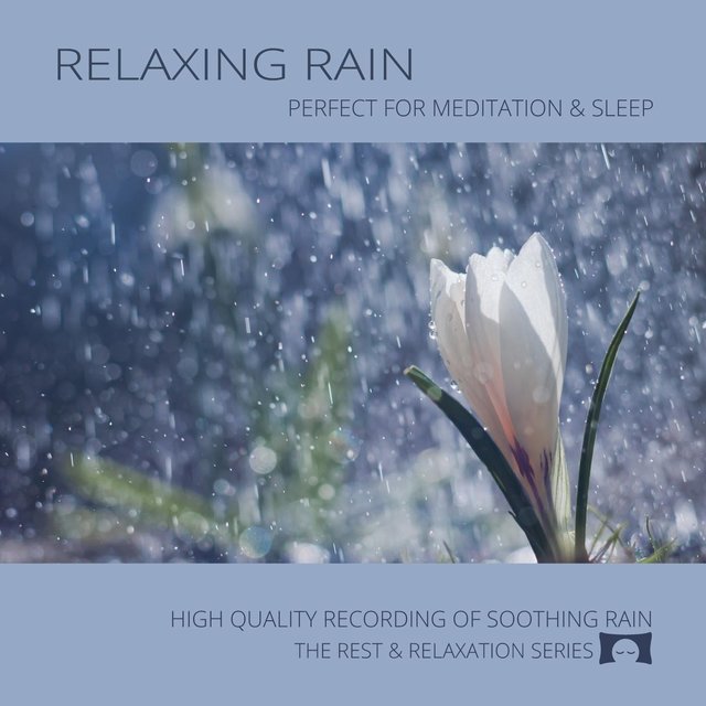 Relaxing Rain: Perfect for Meditation & Sleep