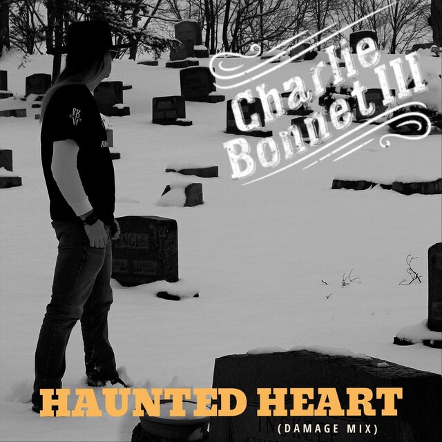 Haunted Heart (Damage Mix)