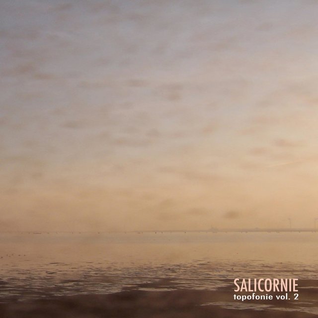Salicornie, Topofonie, Vol. 2