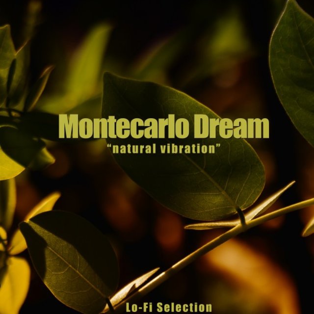Natural Vibration (Lo Fi Selection)