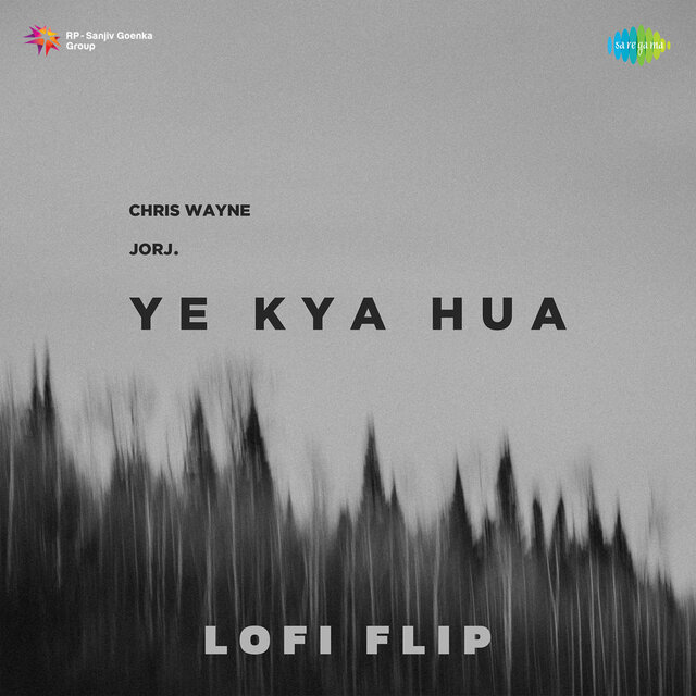 Yeh Kya Hua (Lofi Flip)