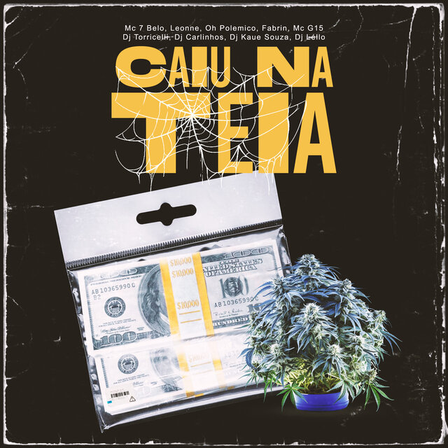 Caiu na Teia